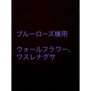 ヒポポタマス(Hippopotamus)のヒポポタマス　バスタオル　リミテッドカラー(タオル/バス用品)