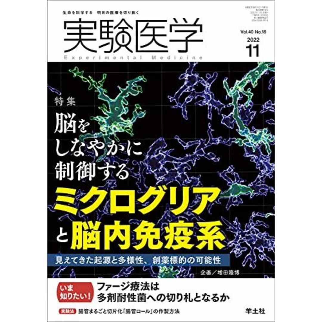 実験医学 2022年11月 Vol.40 No.18 脳をしなやかに制御するミクログリアと脳内免疫系?見えてきた起源と多様性、創薬標的の可能性 エンタメ/ホビーの本(語学/参考書)の商品写真