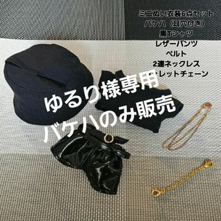 ストレイキッズ(Stray Kids)のミニぬい用　耳穴&シッポ穴付き　ハンドメイド　ぬい服　6点セット(その他)