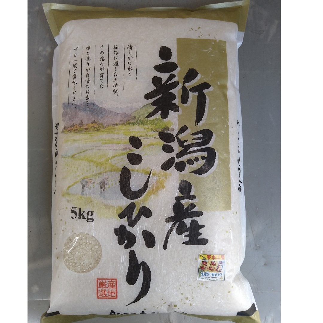 農家直送  新潟県産コシヒカリ白米5㎏(令和5年産) 食品/飲料/酒の食品(米/穀物)の商品写真