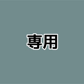 専用(その他)