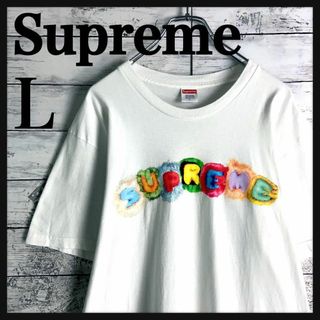 シュプリーム(Supreme)の9046【人気Lサイズ】シュプリーム☆希少デザイン半袖tシャツ　入手困難(Tシャツ/カットソー(半袖/袖なし))