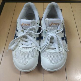 asics - 体育館シューズ  アシックス24.0cm