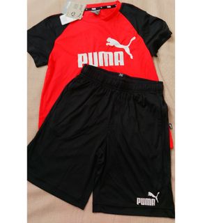 プーマ(PUMA)の新品☆PUMA　プーマ　ジャージ上下　半袖半ズボン(Tシャツ/カットソー)