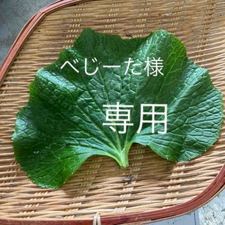 べじーた様専用(野菜)