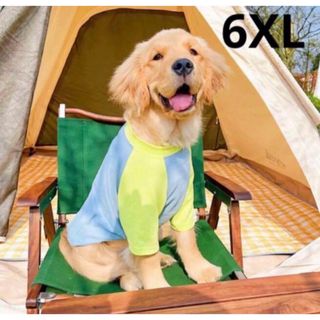 【ペット用】大型犬用 犬服　可愛い　薄生地Tシャツ　6XL(犬)