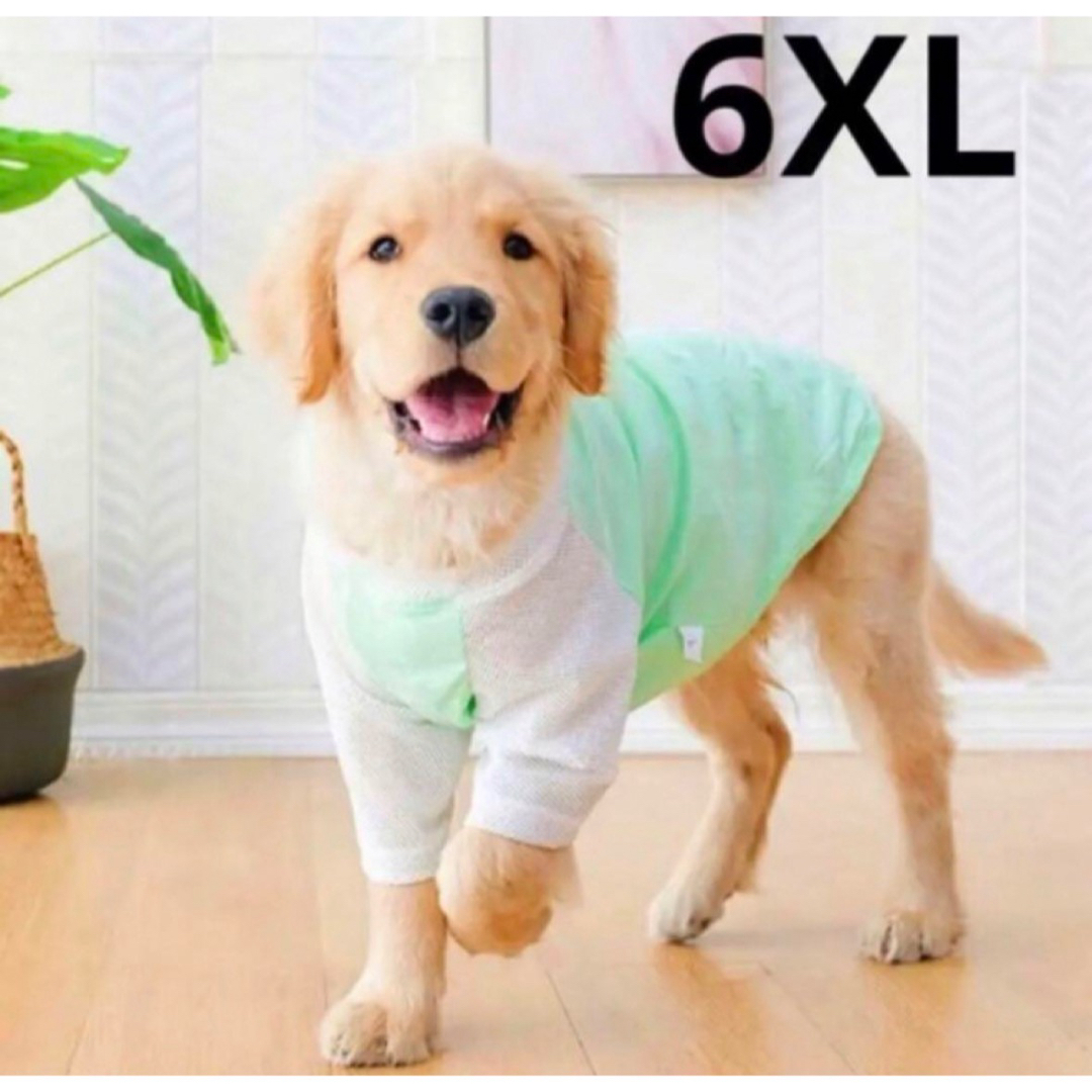 【ペット用】大型犬用　犬服　涼しい網目袖　切り替えTシャツ　6XL その他のペット用品(犬)の商品写真
