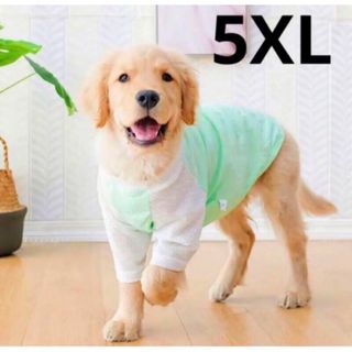 【ペット用】大型犬用　犬服　涼しい網目袖　切り替えTシャツ　5XL(犬)