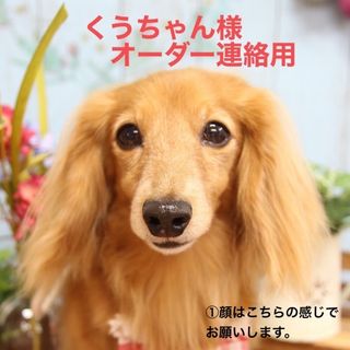 くうちゃん様オーダー用　1匹目(アート/写真)