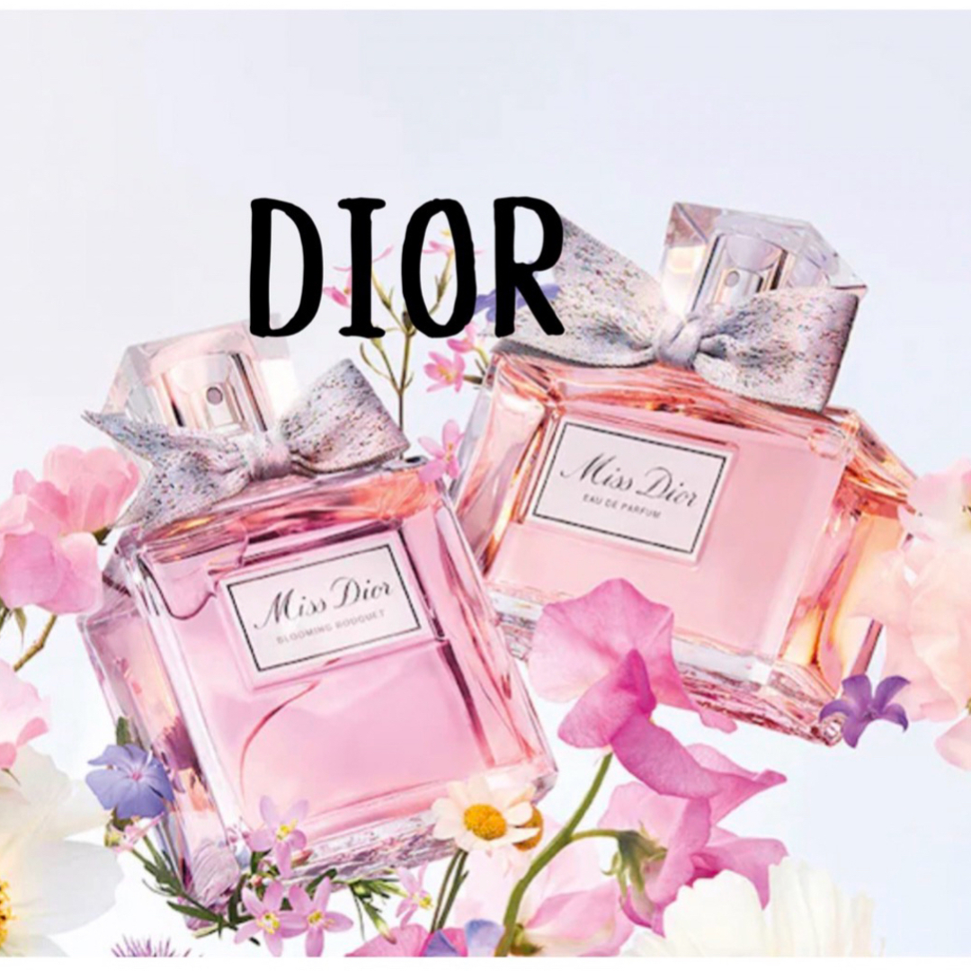 Christian Dior(クリスチャンディオール)の専用 コスメ/美容のメイク道具/ケアグッズ(パフ・スポンジ)の商品写真