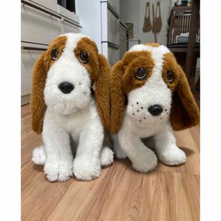 ハッシュパピー(Hush Puppies)の超レア　ハッシュパピー　約30cm  ぬいぐるみ　2匹セット(ぬいぐるみ/人形)