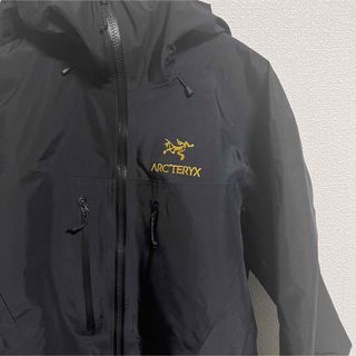 アークテリクス(ARC'TERYX)のarc'teryx alpha sv 24K(マウンテンパーカー)