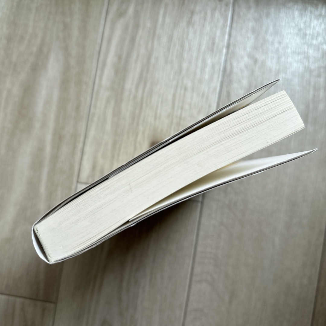 角川書店(カドカワショテン)の店長がバカすぎて エンタメ/ホビーの本(文学/小説)の商品写真