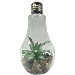 電球型インテリアライト Terrarium(その他)