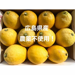 広島県産 レモン 国産レモン(フルーツ)