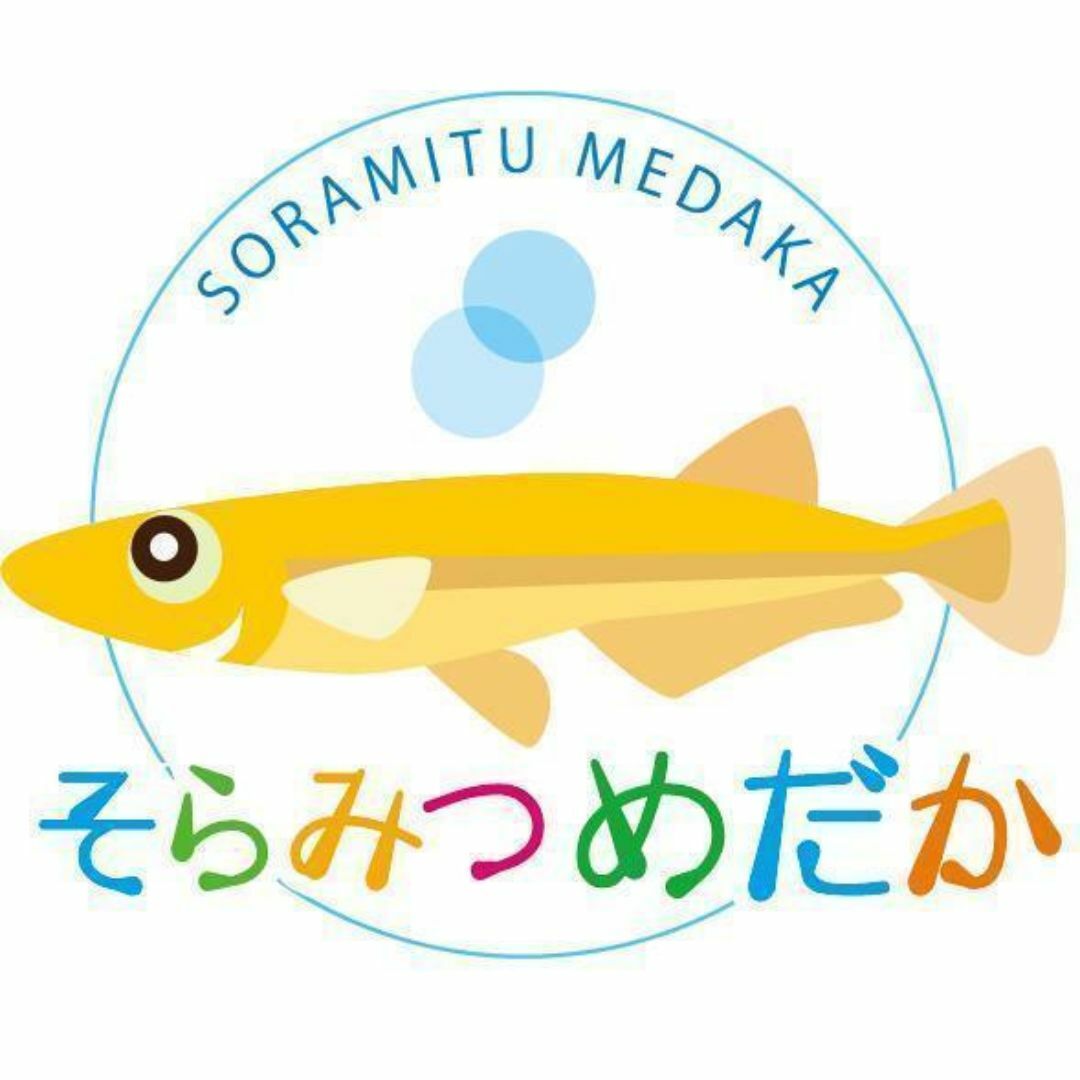 メダカエサ国産純粋オオミジンコ 休眠卵100粒カプセル そらみつめだか製作 その他のペット用品(ペットフード)の商品写真