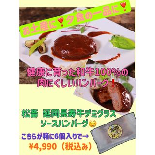 電子レンジで簡単★延岡長寿牛デミグラスソースハンバーグ【冷凍】送料込み！6個入(肉)