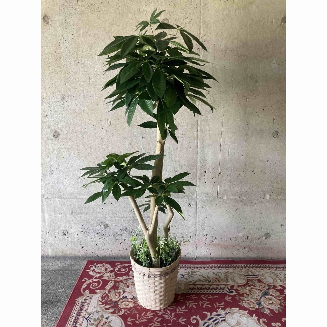 光触媒 人工観葉植物 ウォールグリーン フェイク フラワー 光触媒 人工観葉植物 ウォールグリーン フェイク フラワー