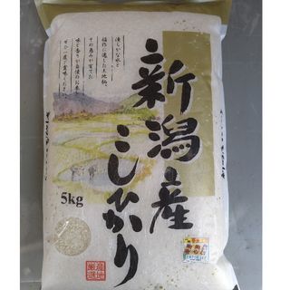 農家直送  新潟県産コシヒカリ白米5㎏(令和5年産)(米/穀物)