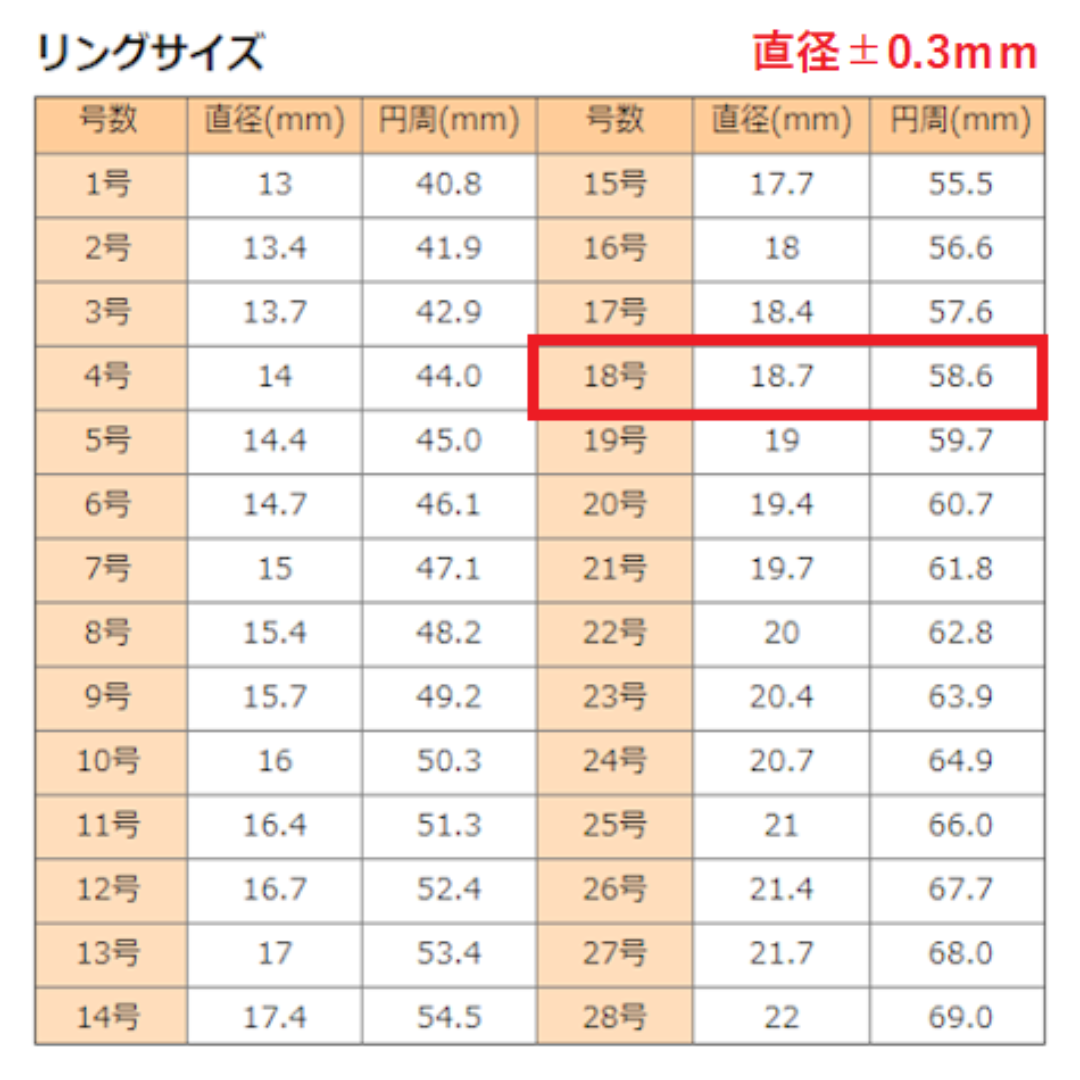 ステンレス／18号／シルバーリング  新品／未使用                レディースのアクセサリー(リング(指輪))の商品写真