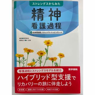 【わだとも様専用】ストレングスからみた精神看護過程(健康/医学)