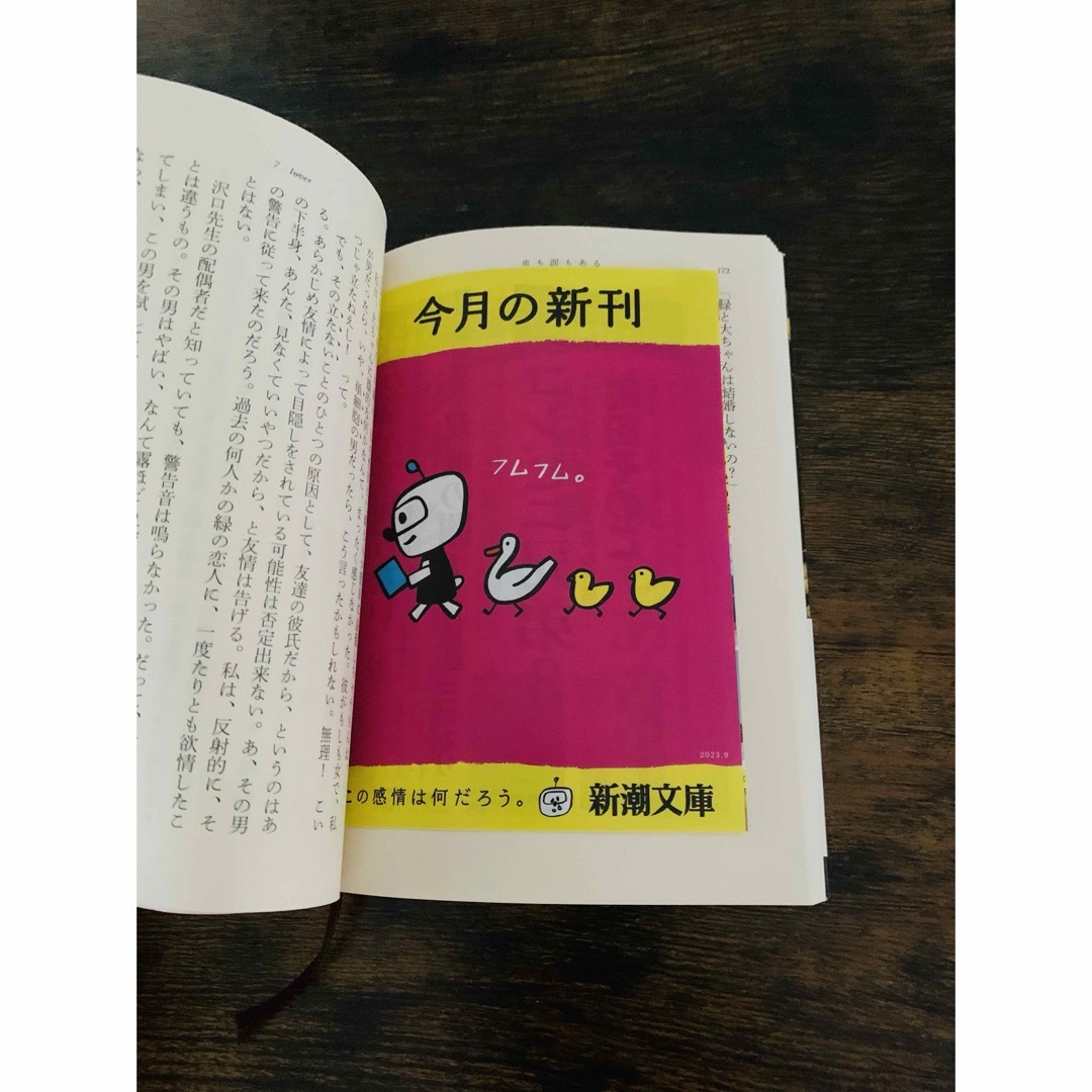 血も涙もある　山田詠美 エンタメ/ホビーの本(文学/小説)の商品写真