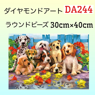 DA244ダイヤモンドアートキットわんちゃん大集合(アート/写真)