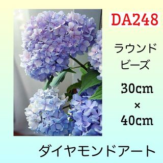 DA248ダイヤモンドアートキット紫陽花(アート/写真)