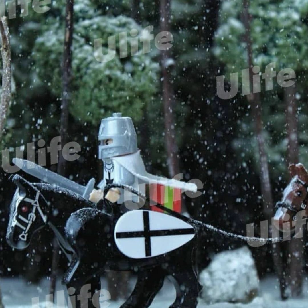 豪華20体セット　中世チュートン騎士団　LEGOレゴ互換ミニフィグブロック兵隊 エンタメ/ホビーのフィギュア(SF/ファンタジー/ホラー)の商品写真