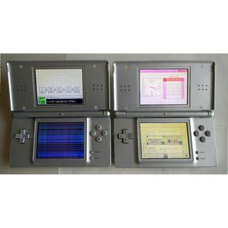 ニンテンドーDS - Nintendo DS Lite　画面不具合のジャンク品2台