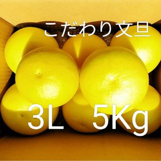 高知産　こだわり土佐文旦　３Lサイズ　約５Kg,　北海道沖縄発送不可(フルーツ)