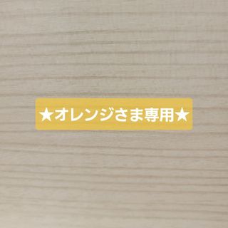 ★オレンジさま専用★(その他)