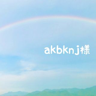 akbknj様専用ページ(その他)