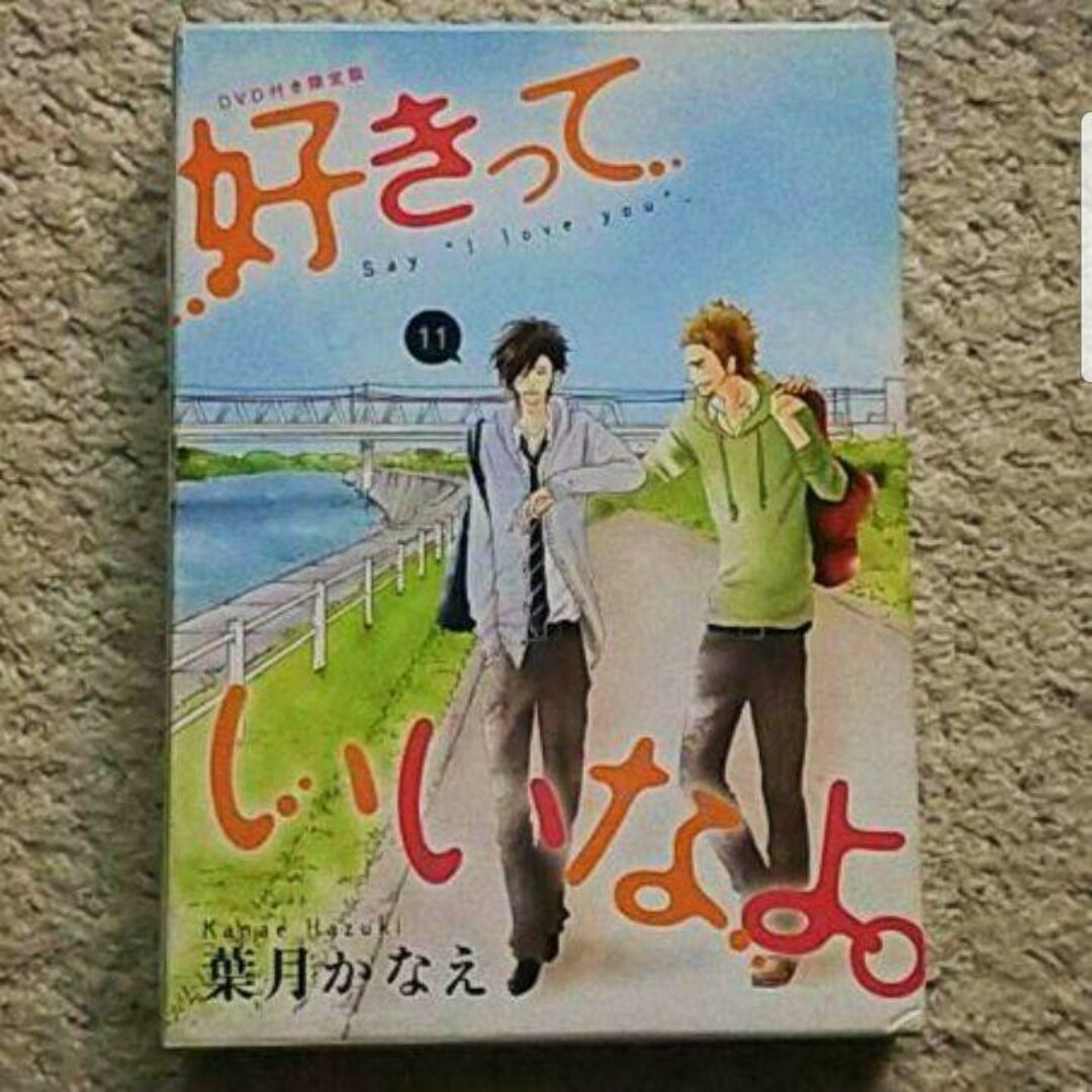 講談社(コウダンシャ)の漫画『好きっていいなよ』11巻【DVD付き限定版】葉月かなえ《豪華特典付き》 エンタメ/ホビーの漫画(少女漫画)の商品写真