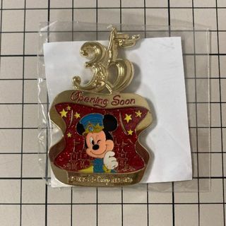 ディズニー(Disney)の東京ディズニーリゾート キャスト限定ランヤードアクセサリー／TDR35th幕開け(その他)