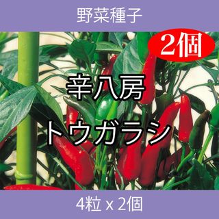 野菜種子 ECE 辛八房トウガラシ 4粒 x 2個(野菜)