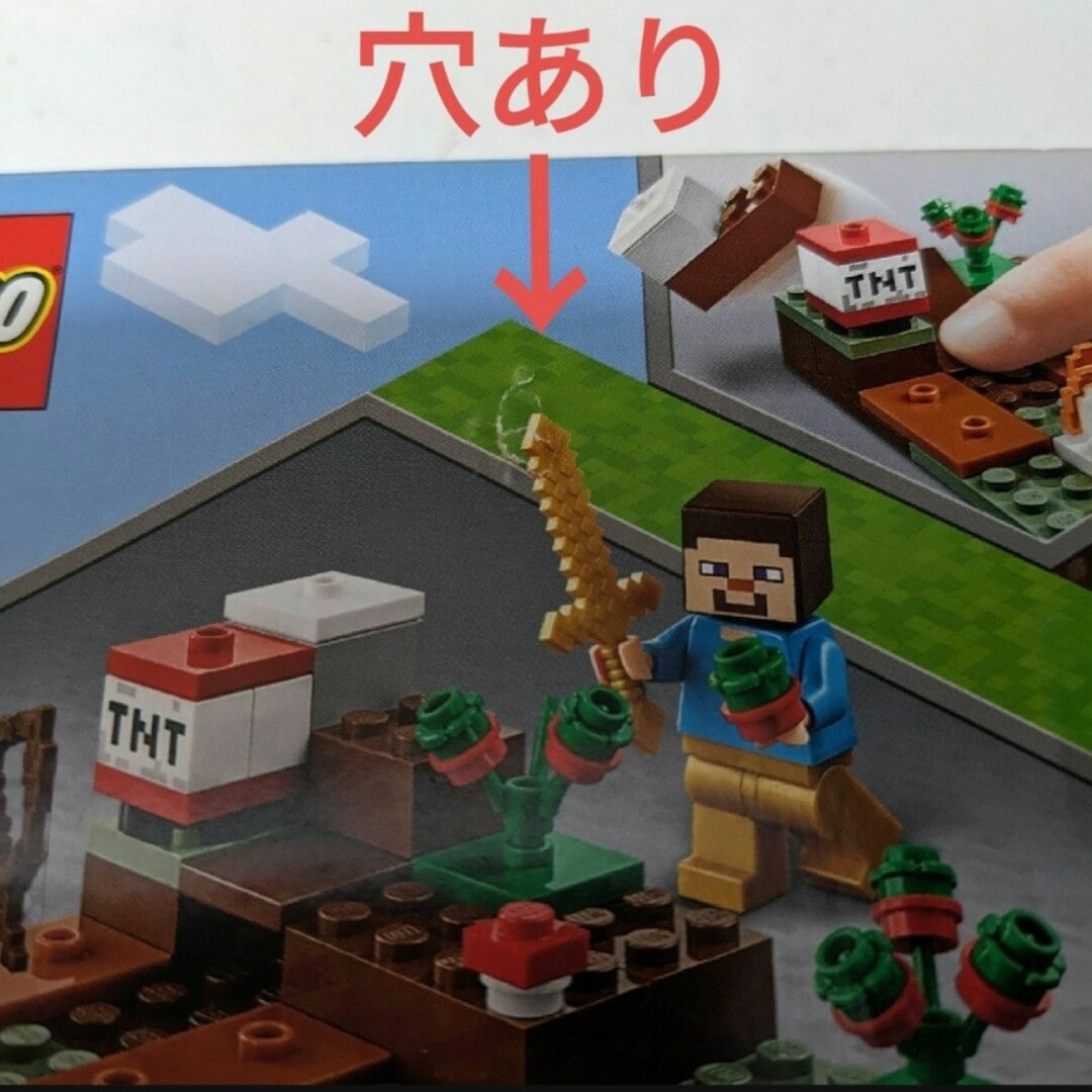 LEGO　21162 MINECRAFT　レゴブロック　スケルトン エンタメ/ホビーのフィギュア(ゲームキャラクター)の商品写真