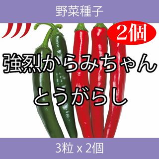 野菜種子 TVK04 強烈からみちゃんとうがらし 3粒 x 2個(野菜)