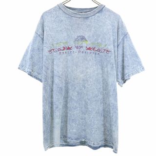 ハーレーダビッドソン(Harley Davidson)のハーレーダビッドソン プリント 半袖 Tシャツ L ブルー系 HARLEY DAVIDSON メンズ 古着 【240330】 メール便可(Tシャツ/カットソー(半袖/袖なし))