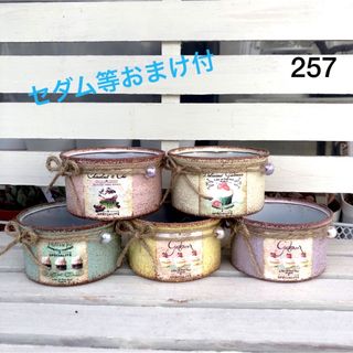 リメイク缶257☆多肉植物☆寄せ植え☆インテリア(その他)