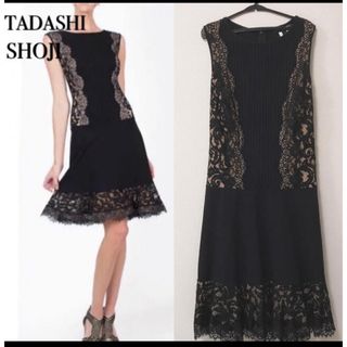 タダシショウジ(TADASHI SHOJI)のTADASHI SHOJI(ミディアムドレス)