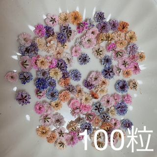 (02)かすみ草ドライフラワー100粒(ドライフラワー)