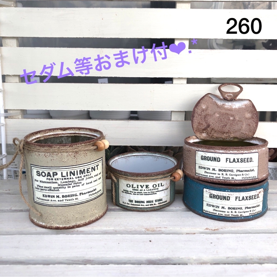 リメイク缶260☆多肉植物☆寄せ植え☆インテリア ハンドメイドのフラワー/ガーデン(その他)の商品写真