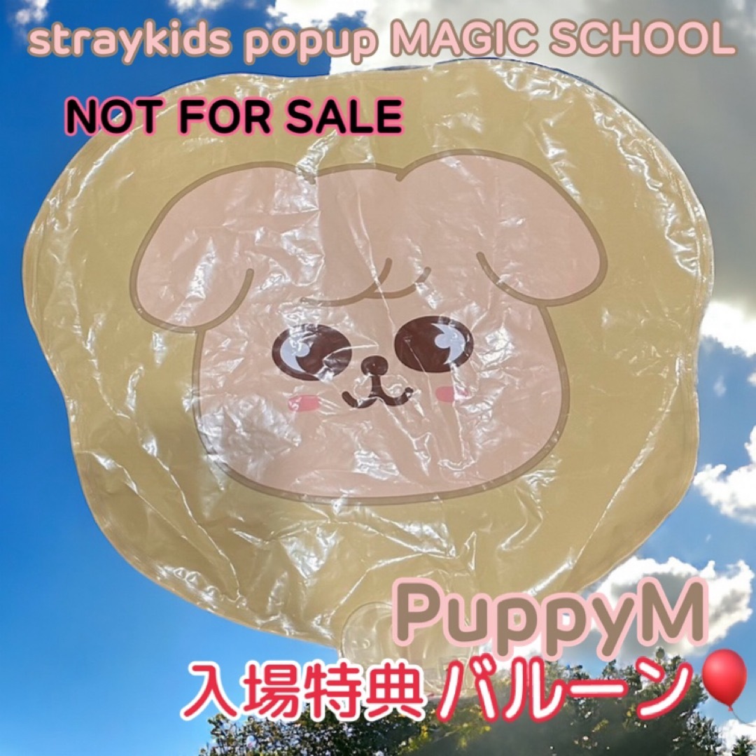 Stray Kids(ストレイキッズ)の【非売品】スキズ SKZOO ポップアップ マジックスクール 入場特典 パピーム エンタメ/ホビーのタレントグッズ(アイドルグッズ)の商品写真