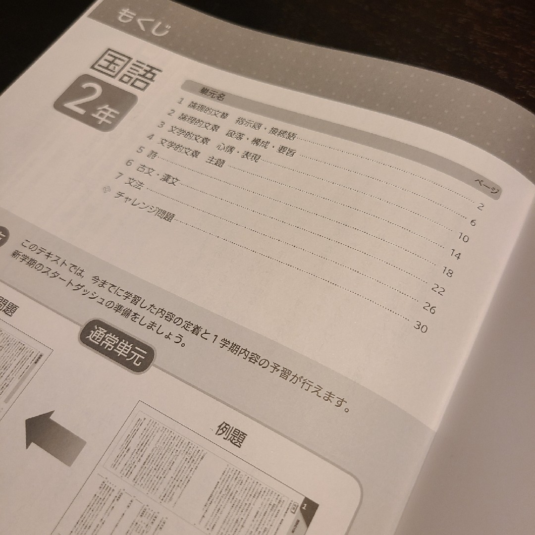 最安値！ほぼ未使用　国語　中2　ウイニングスプリング　春休み　自宅学習　解答付き エンタメ/ホビーの本(語学/参考書)の商品写真