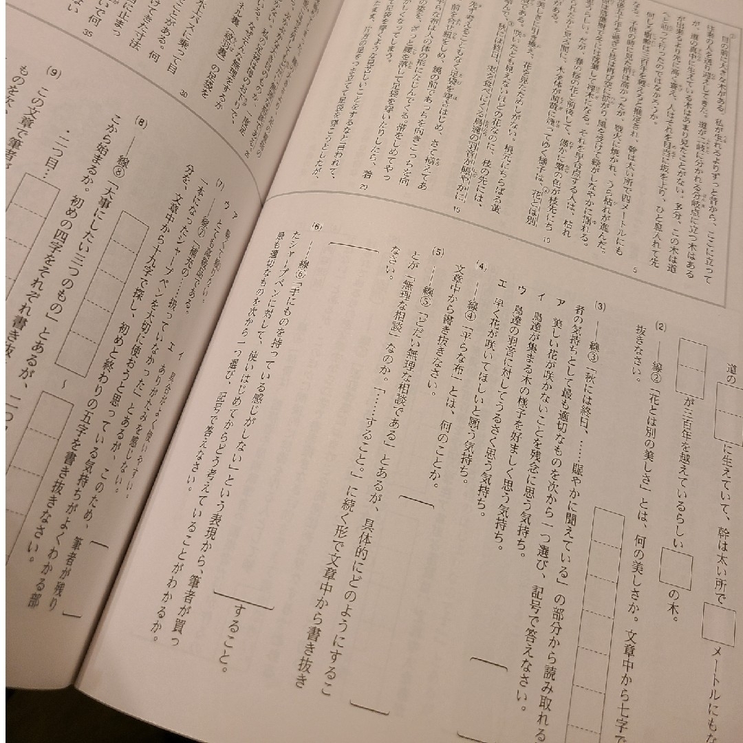 最安値！ほぼ未使用　国語　中2　ウイニングスプリング　春休み　自宅学習　解答付き エンタメ/ホビーの本(語学/参考書)の商品写真