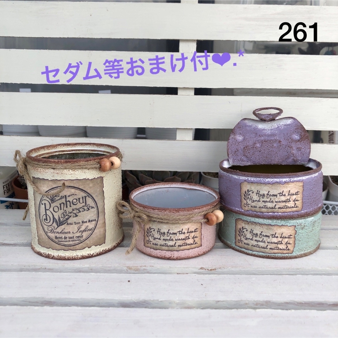 リメイク缶261☆多肉植物☆寄せ植え☆インテリア ハンドメイドのフラワー/ガーデン(その他)の商品写真