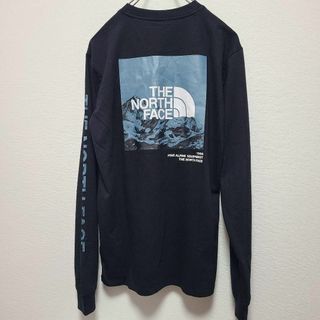 ザノースフェイス(THE NORTH FACE)のM 袖ロゴ アメリカ ノースフェイス ロンT ロゴ ハーフドーム 黒 長袖(Tシャツ/カットソー(七分/長袖))