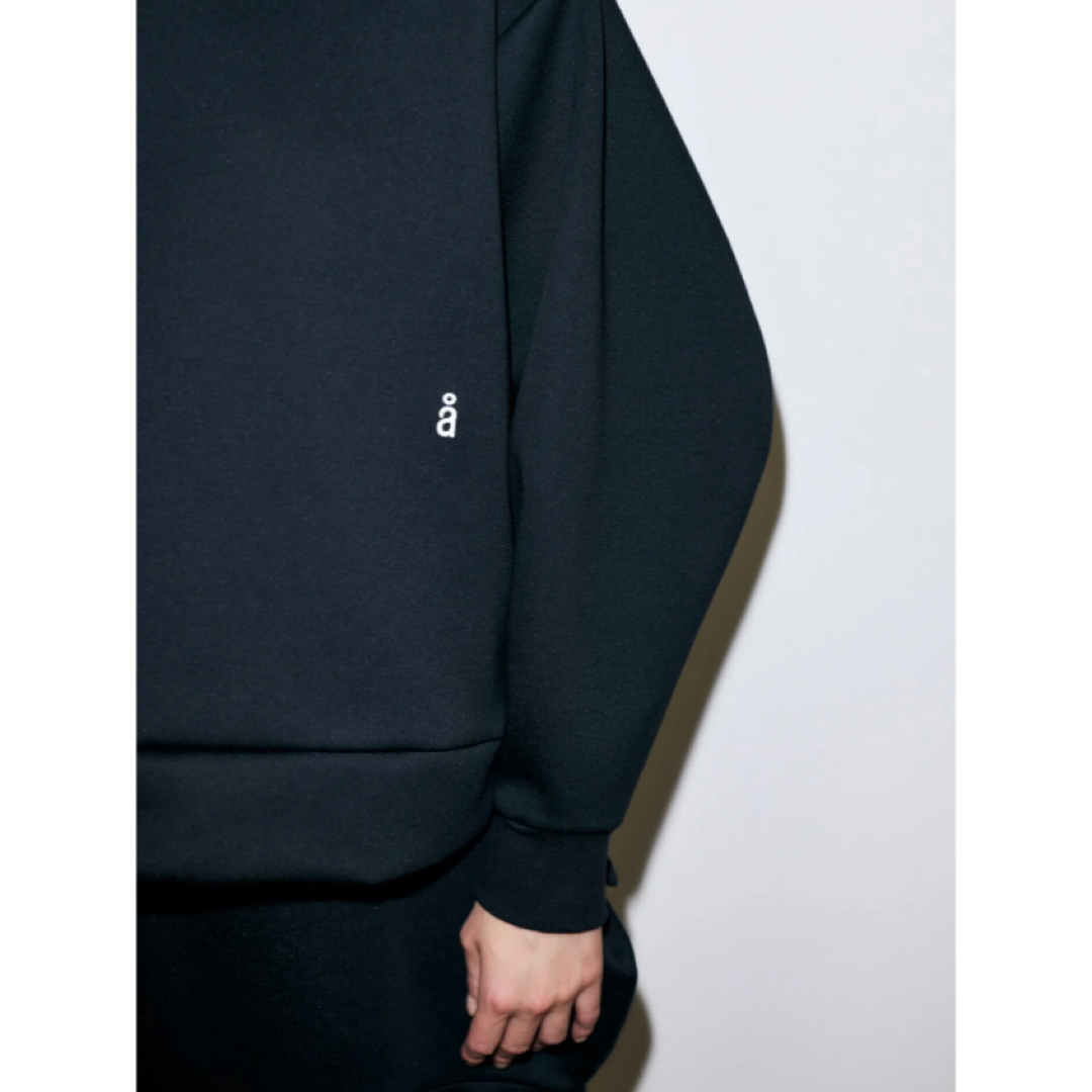 ENFOLD(エンフォルド)のnagonstans ｌａｙｅｒｅｄ－ｎｅｃｋ　ｐｕｌｌｏｖｅｒ レディースのトップス(カットソー(長袖/七分))の商品写真