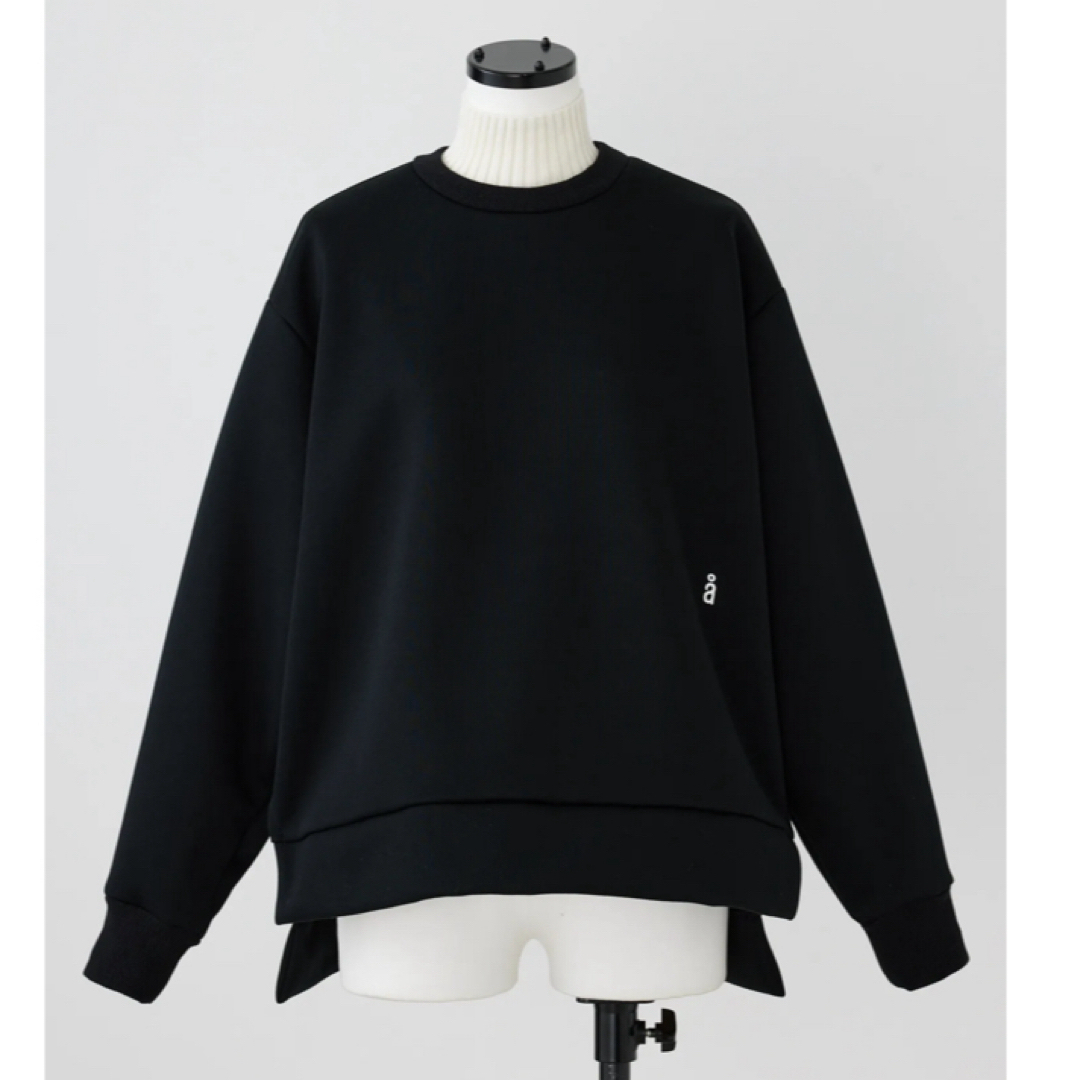 ENFOLD(エンフォルド)のnagonstans ｌａｙｅｒｅｄ－ｎｅｃｋ　ｐｕｌｌｏｖｅｒ レディースのトップス(カットソー(長袖/七分))の商品写真